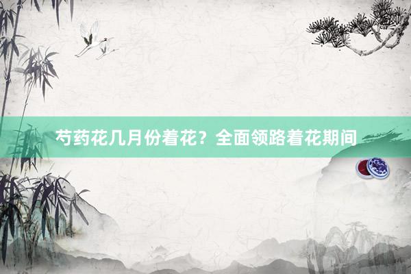 芍药花几月份着花？全面领路着花期间
