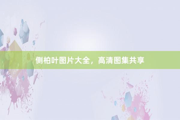 侧柏叶图片大全，高清图集共享