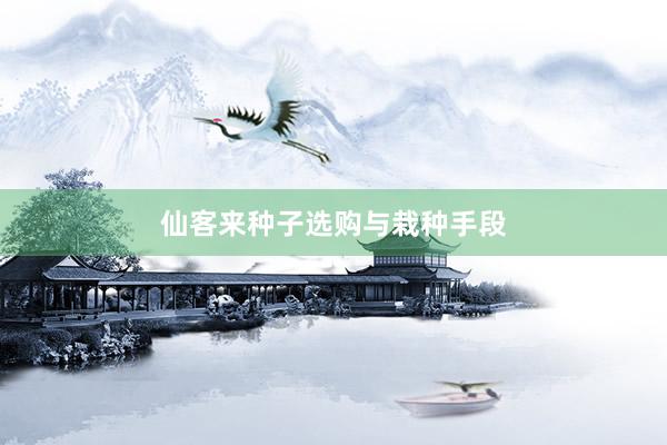 仙客来种子选购与栽种手段
