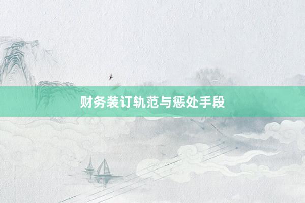 财务装订轨范与惩处手段